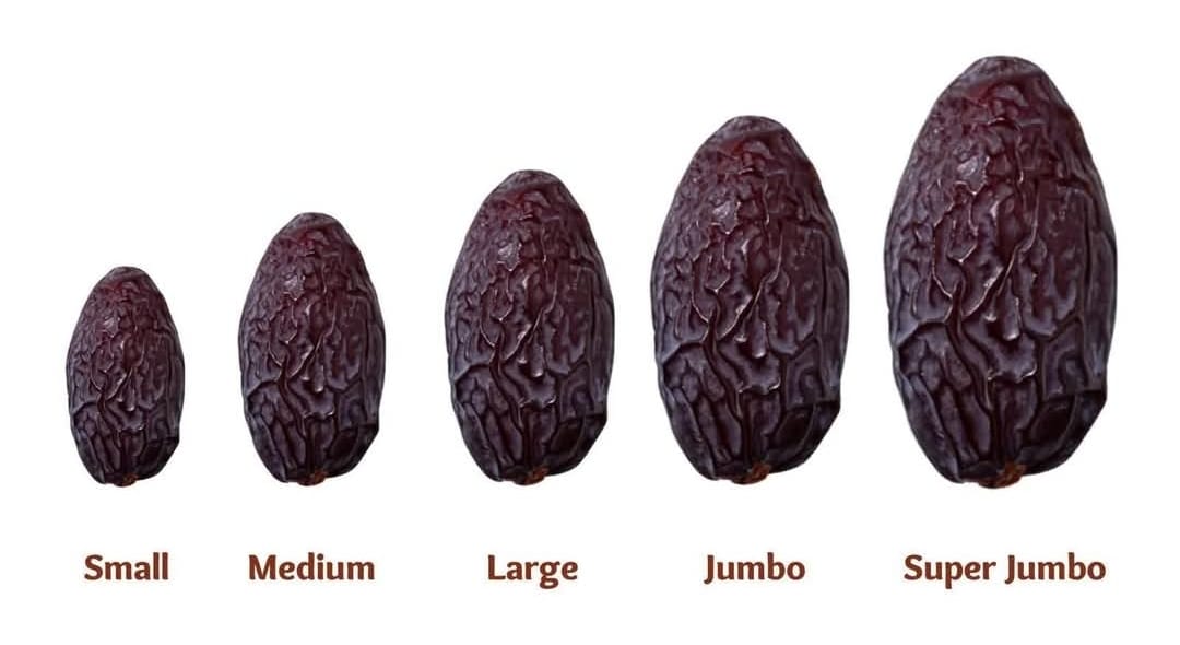 Date Sizes Guide - Super Jumbo, Jumbo, and Medium Medjool dates comparison